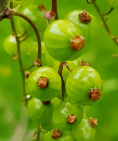 20200514_164707_resized