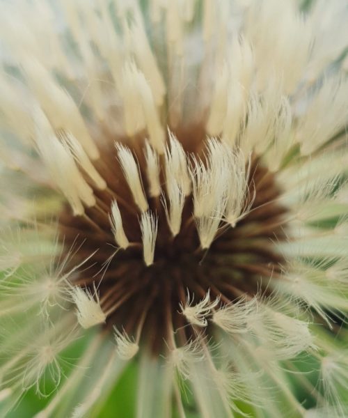 20200514_171508_resized