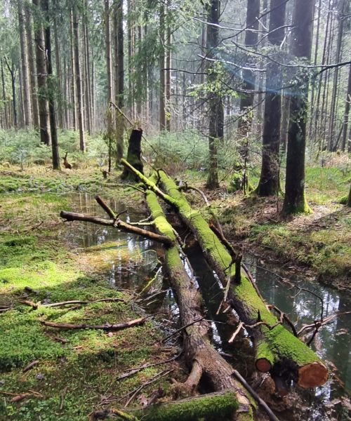 20230416_110605_resized