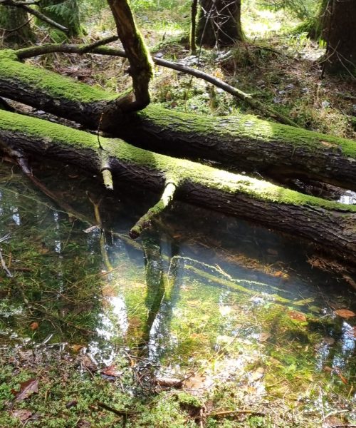 20230416_110624_resized