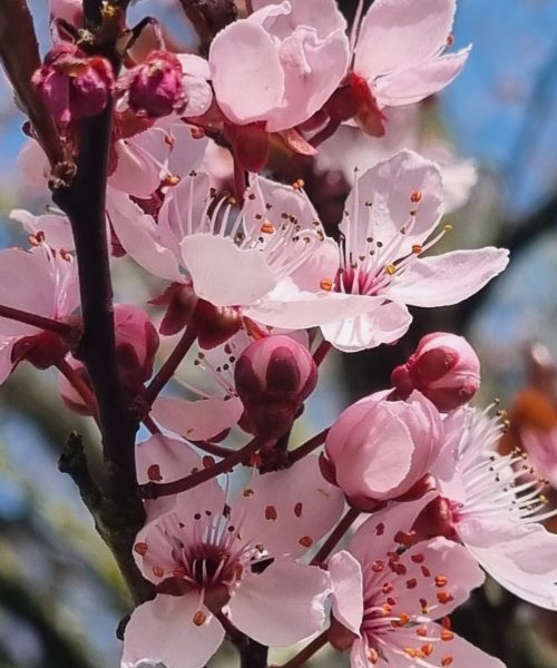 20230422_155736_resized