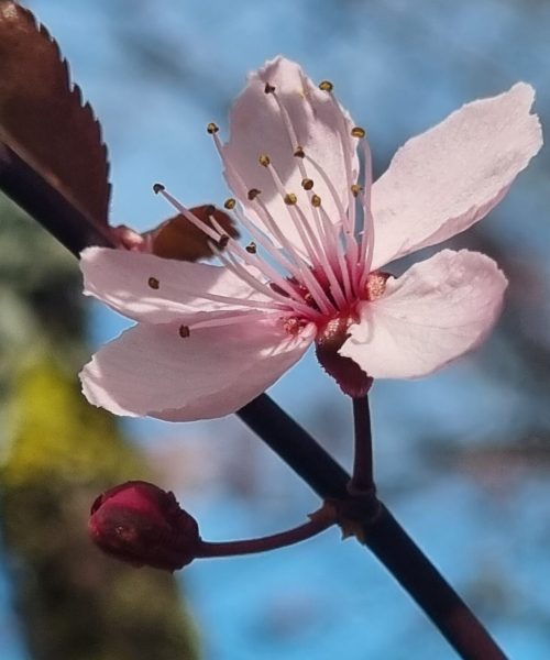 20230422_155820_resized