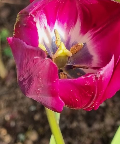 20230506_185542_resized