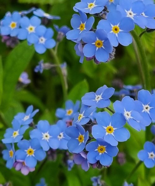 20230507_193443_resized