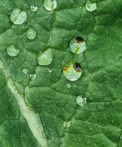 20230512_154221_resized