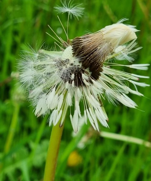 20230512_154611_resized