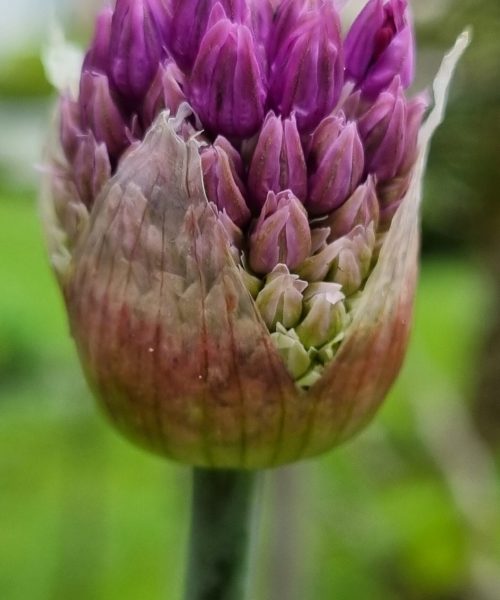 20230513_120249_resized