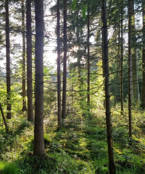 20230513_190554_resized